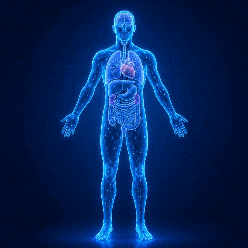 Why inflammation drives age-related health issues