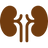 Supports Kidney Wellness