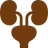 Supports Urinary Comfort