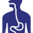 Esophageal Valve Support